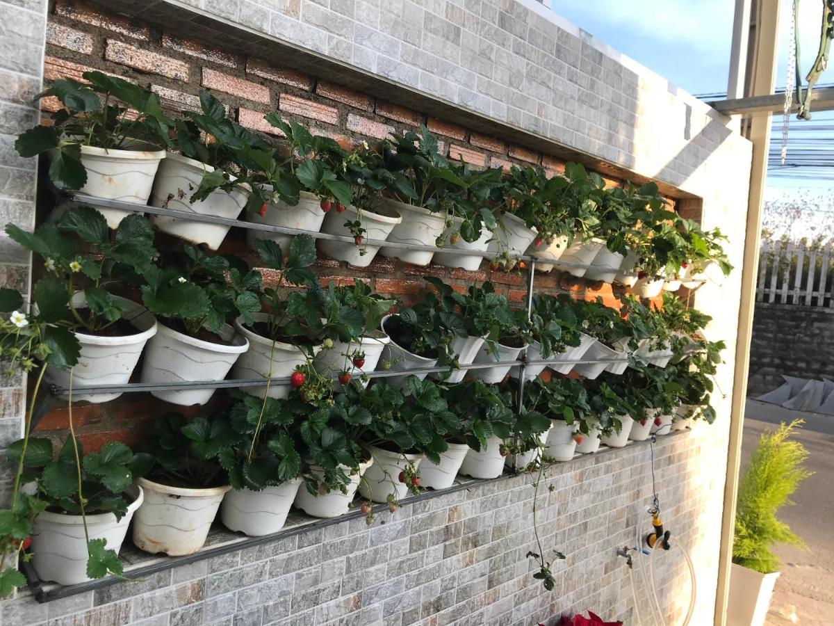 Greenview Dalat Εξωτερικό φωτογραφία